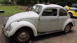 1964 Sunroof VW Beetle  Volkswagen Bug  MP Lafer Test Drive [upl. by Kila]