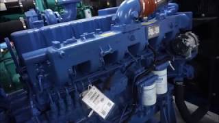 200KW 250KVA China Yuchai YC6MK350LD20 Diesel Generator Set Blue Genset [upl. by Gayelord]