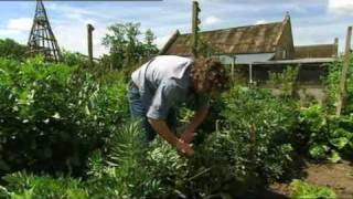 Hugh FearnleyWhittingstall talks about the Eat Seasonably Campaign [upl. by Warms409]