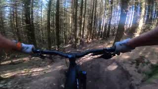 MTB AE Forest OffPiste  Plinkys birthday weekender [upl. by Scotney]