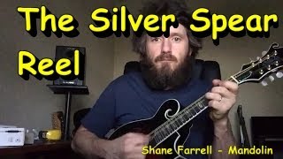 The Silver Spear Irish Reel  Mandolin [upl. by Sylera398]