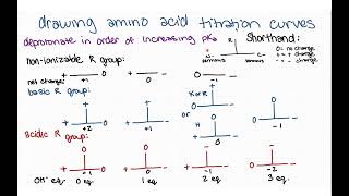 Drawing titration curves for amino acids  strategy intuition and examples [upl. by Toile781]