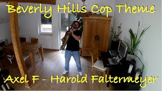 Beverly Hills Cop Theme  Axel F  Harold Faltermeyer Rolax Sax Cover [upl. by Rezal]