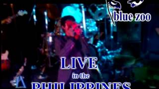 Blue Zoo Live in Manila [upl. by Sulihpoeht]