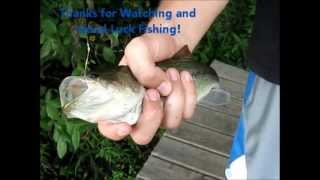 How to keep your Hot Dog on the Hook while Fishing with Results [upl. by Violetta]