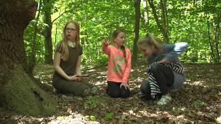 3 Kinderen ontdekken een boef in het bos  Jelger de goochelaar en de schat van Nicolaas [upl. by Suellen]