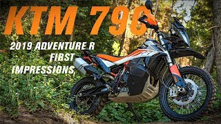 2019 KTM 790 Adventure R  First Impressions [upl. by Ester]