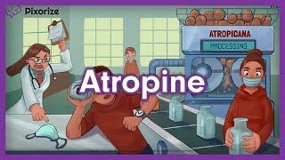 Atropine Homatropine Tropicamide Mnemonic for USMLE [upl. by Adis]