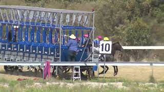 Stanthorpe 21102023 Race 2 [upl. by Fishbein984]