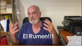 EL ROL DEL RUMEN EN LA DIGESTIÓN DE LOS RUMIANTES [upl. by Strep971]