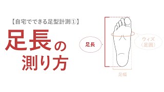 自宅でできる！足型計測（足長・足幅・足囲の測り方） [upl. by Tinya]