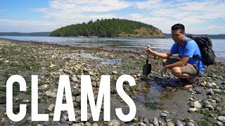 Catch amp Cook  Butter Clams in Washington [upl. by Tisha]