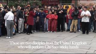 Fatsan Jing Wu Wing Chun Demo 2 [upl. by Ilagam836]