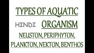 Aquatic Organisms Type  Neuston Periphyton Planktons Nekton Benthos In Hin [upl. by Zeni]