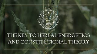 The Key to Herbal Energetics and Constitutional Theory [upl. by Sosna]