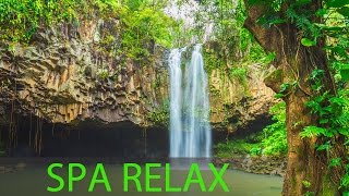 Relaxing Spa Music Meditation Healing Stress Relief Sleep Music Yoga Sleep Zen Spa ☯277 [upl. by Berton]