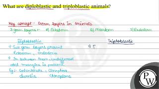 What are diploblastic and triploblastic animals [upl. by Mario385]