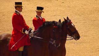 The Colonels Review of Trooping the Colour 2015 17 [upl. by Hime]