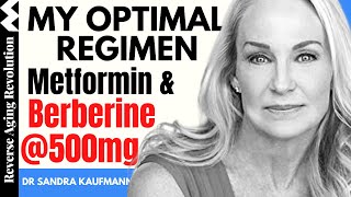 Berberine vs Metformin [upl. by Cassidy]