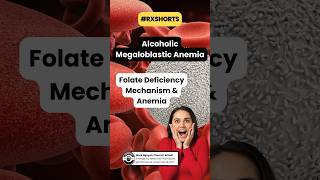 Alcoholic Megaloblastic Anemia pathophysiology pharmwyze [upl. by Arleta562]