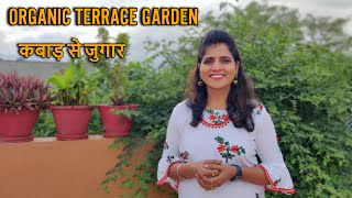 Zero Budget Terrace Garden Ideas  कबाड़ से जुगार 🪴How to maintain Rooftop Garden [upl. by Amalee344]