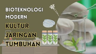 BIOTEKNOLOGI MODERN  KULTUR JARINGAN TUMBUHAN [upl. by Erine]