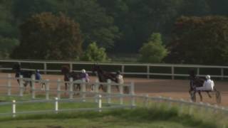 Lot 2 QUALIFICATIONS GROSBOIS 17 JUIN 2016 [upl. by Audrie]