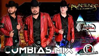 Alameños De La Sierra  Mix De Cumbias 2019 [upl. by Iztim865]