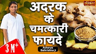 अदरक के चमत्कारी औषधीय गुण  Adrak Ke Fayde  Acharya Balkrishna Ayurveda In Hindi  Sanskar TV [upl. by Sorodoeht]