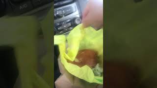 McChicken [upl. by Esaertal]