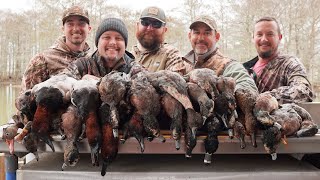 2 Hours of INCREDIBLE Limits and Louisiana Duck Hunts to Fall Asleep To [upl. by Esta]