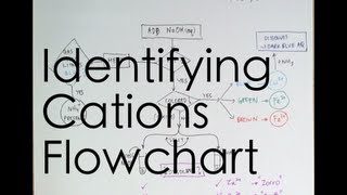 Flowchart for Identifying Cations [upl. by Vernice]