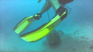 Goliath Grouper Attacks Diver [upl. by Apthorp]