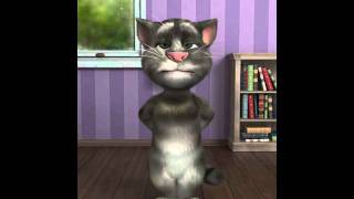 Talking Tom Cats Got a Joke for You [upl. by Marji]