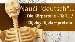 NjemačkI vokabular  Tijelo  Körper Lekcija 1  Nauči quotdeutschquot [upl. by Yttap119]