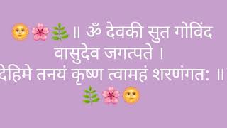 ॥ श्री संतान गोपाल मंत्र ॥ 108 ॐ देवकी सुत गोविंद वासुदेव जगत्पते।देहिमे तनयं कृष्ण त्वामहं शरणंगत॥ [upl. by Annahs439]