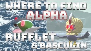 How to get ALPHA HISUIAN RUFFLETBRAVIARY amp ALPHA BASCULINBASCULEGION in Pokémon Legends Arceus [upl. by Latonia]