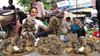 Catching wild frogs to sell after leaving the hospital Vang Hoa [upl. by Nolava]