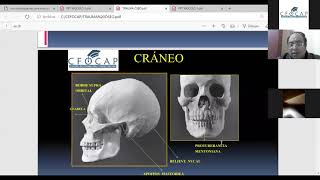 CURSO TALLER  EN CIENCIAS FORENSE IDENTIFICACIÓN A TRAVÉS DE LA ANTROPOLOGÍA FORENSE [upl. by Mutz]