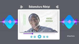 Babamukuru Ndeipi Audio Visuals [upl. by Plafker]