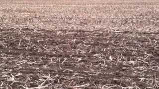 No till vs Vertical tillage vs Conventional tillage [upl. by Howland]