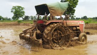 land preparation of rice crop puddling [upl. by Attaymik]