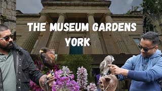 The SECRET HISTORIES of York Museum Gardens  யார்க் அருங்காட்சியகம் பூங்கா  UK Tamil Vlog [upl. by Noiz]