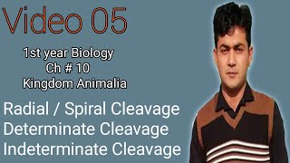 Radial Spiral Cleavage Indeterminate  Determinate Cleavage Protostomes Vs Deuterostomes [upl. by Llemej]