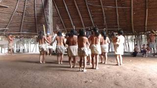 Boras indians dancing [upl. by Manvel]