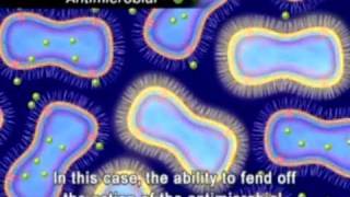 The Animation of Antimicrobial Resistance [upl. by Zanze]