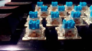 Outemo Blue Switches Square  Putting ORings on [upl. by Veejar]