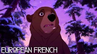 Brother Bear  quotIm Sorry Kodaquot One Line Multilanguage HD [upl. by Adleme]