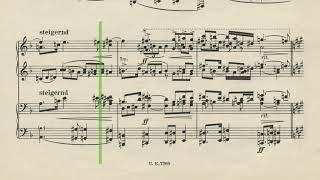 Arnold Schönberg Pelleas and Melisande Excerpt [upl. by Ahsineg]