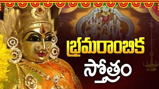 Bramarambika Ashtakam  Lord Bramarambika Devi devotional songs  Idream Music [upl. by Philcox]